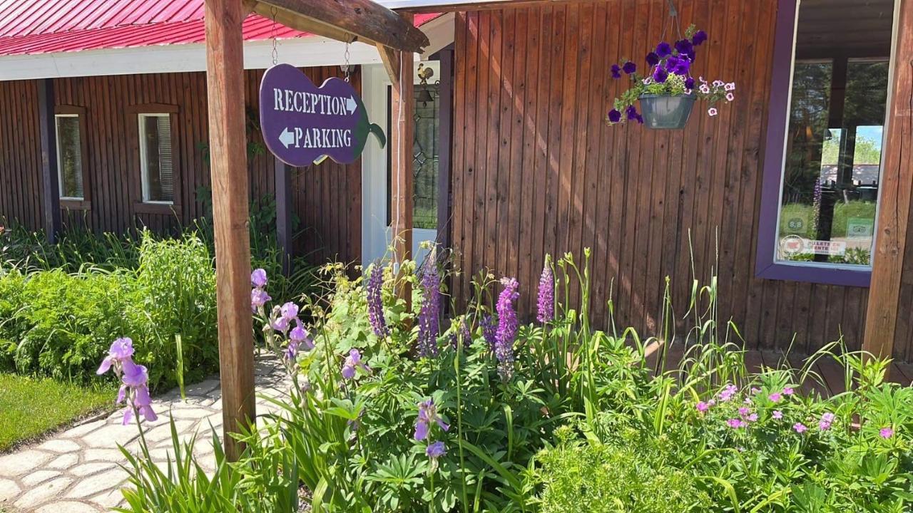 L'aubergine Saint Hilarion